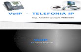 Int TIC - Telefonia IP