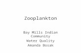 Zooplankton Bay Mills Indian Community Water Quality Amanda Bosak.