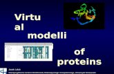 Virtual modelling of proteins Jacek Leluk Interdyscyplinarne Centrum Modelowania Matematycznego i Komputerowego, Uniwersytet Warszawski.
