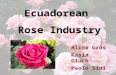 Aline Gros Kasia Głuch Paolo Sini Ecuadorean Rose Industry.