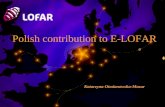 Polish contribution to E-LOFAR Katarzyna Otmianowska-Mazur.