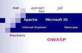 PHP ASP.NET JSP P Perl Apache Microsoft IIS Internet Explorer Netscape Hackers OWASP.
