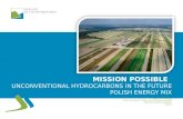 MISSION POSSIBLE UNCONVENTIONAL HYDROCARBONS IN THE FUTURE POLISH ENERGY MIX Sławomir Brodziński Under-Secretary of State, Chief National Geologist Ministry.