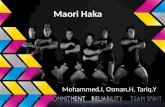Maori Haka Mohammed.I, Osman.H, Tariq.Y. The Maori Haka Dance .