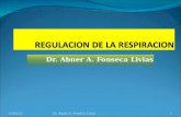 Dr. Abner A. Fonseca Livias 11/04/20151Dr. Abner A. Fonseca Livias.