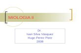 MIOLOGIA II Dr. Ivan Silva Vásquez Hugo Perez Plotz 2008.
