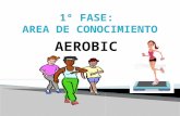 AEROBIC. a. Una breve explicación con un video o power point sobre en que consiste. b. Estructura teórica de una sesión de aerobic c. práctica si fuese.