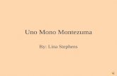 Uno Mono Montezuma By: Lina Stephens Mono vivió en Costa Rica. Le gustaba come las frutas de pluviselva.