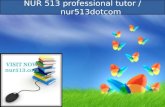 NUR 513 professional tutor / nur513dotcom