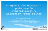 Diagnoza dla obszaru i podobszarów rewitalizacji w Dzielnicy Praga Północ