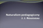 Naturalizm pedagogiczny  J. J. Rousseau
