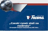 „Czeski rynek stali na rozdrożu” Europejski Kongres Gospodarczy EEC 2011