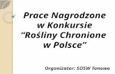 Prace Nagrodzone w  Konkursie “ Rośliny Chronione w  Polsce ”
