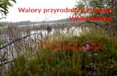 Walory przyrodnicze Powiatu Wołowskiego