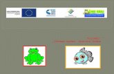 Projekt:  „Zdrowa rybka, skoczna żabka”