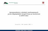 Sprawozdanie z działań realizowanych  przez Wojewódzki Urząd Pracy w Szczecinie w 2010 roku
