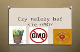 Czy należy bać się GMO?