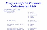 Progress of the Forward Calorimeter R&D