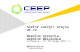 Sektor energii krajów UE-10 Wspólne wyzwania,  wspólne działania