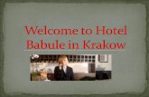 Welcome  to Hotel Babule  in Krakow