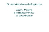 Gospodarstwo ekologiczne  Ewy i Petera Stratenwerthów  w Grzybowie