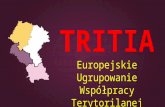 TRITIA Europejskie Ugrupowanie Współpracy Terytorilanej