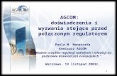 AGCOM:    doświadczenia i wyzwania stojące przed połączonym regulatorem