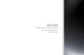 MS DOS (ang. Microsoft Disk Operating System)
