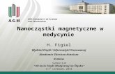 H. Figiel Wydział Fizyki i Informatyki Stosowanej Akademia Górniczo-Hutnicza Kraków