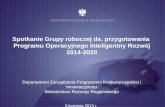 Spotkanie Grupy roboczej ds. przygotowania  Programu Operacyjnego Inteligentny Rozwój 2014-2020