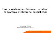 Klaster Wałbrzyskie Surowce – przykład budowania inteligentnej  specjalizacji