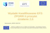 Wydatki Kwalifikowane EFS  ZPORR II priorytet działanie 2,6