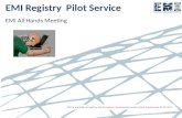 EMI Registry  Pilot Service