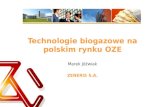 Technologie biogazowe na polskim rynku OZE