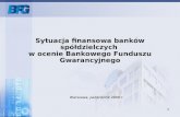 Sytuacja finansowa banków spółdzielczych  w ocenie Bankowego Funduszu Gwarancyjnego