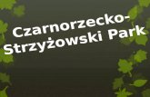 Czarnorzecko -Strzyżowski Park