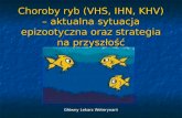 Choroby ryb (VHS, IHN, KHV) – aktualna sytuacja epizootyczna oraz strategia na przyszłość