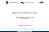 Spotkanie informacyjne Dokumentacja konkursowa Nr  1/8.2.1/11 Szczecin, 20 czerwca  2011 r.