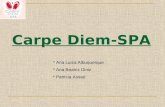 Carpe Diem-SPA