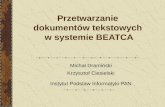 Przetwarzanie  dokumentów tekstowych  w systemie BEATCA