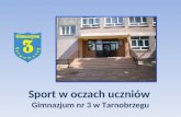 Sport w oczach uczniów  Gimnazjum nr 3 w Tarnobrzegu