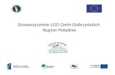 Stowarzyszenie LGD Gmin Dobrzyńskich  Region Południe