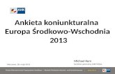 Ankieta koniunkturalna  Europa Środkowo-Wschodnia  2013