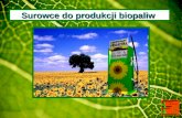 Surowce do produkcji biopaliw