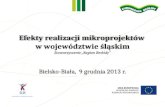 Efekty realizacji  mikroprojektów w województwie śląskim Stowarzyszenie „Region Beskidy"