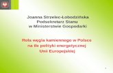 Joanna Strzelec-Łobodzińska Podsekretarz Stanu  w Ministerstwie Gospodarki