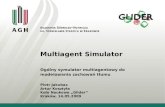 Multiagent  Simulator