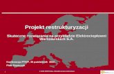 Projekt restrukturyzacji Skuteczne rozwiązania na przykładzie Elektrociepłowni Warszawskich S.A.