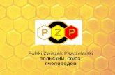 Polski Związek Pszczelarski польский  союз  пчеловодов