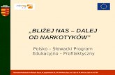 Polsko – Słowacki Program  Edukacyjno – Profilaktyczny